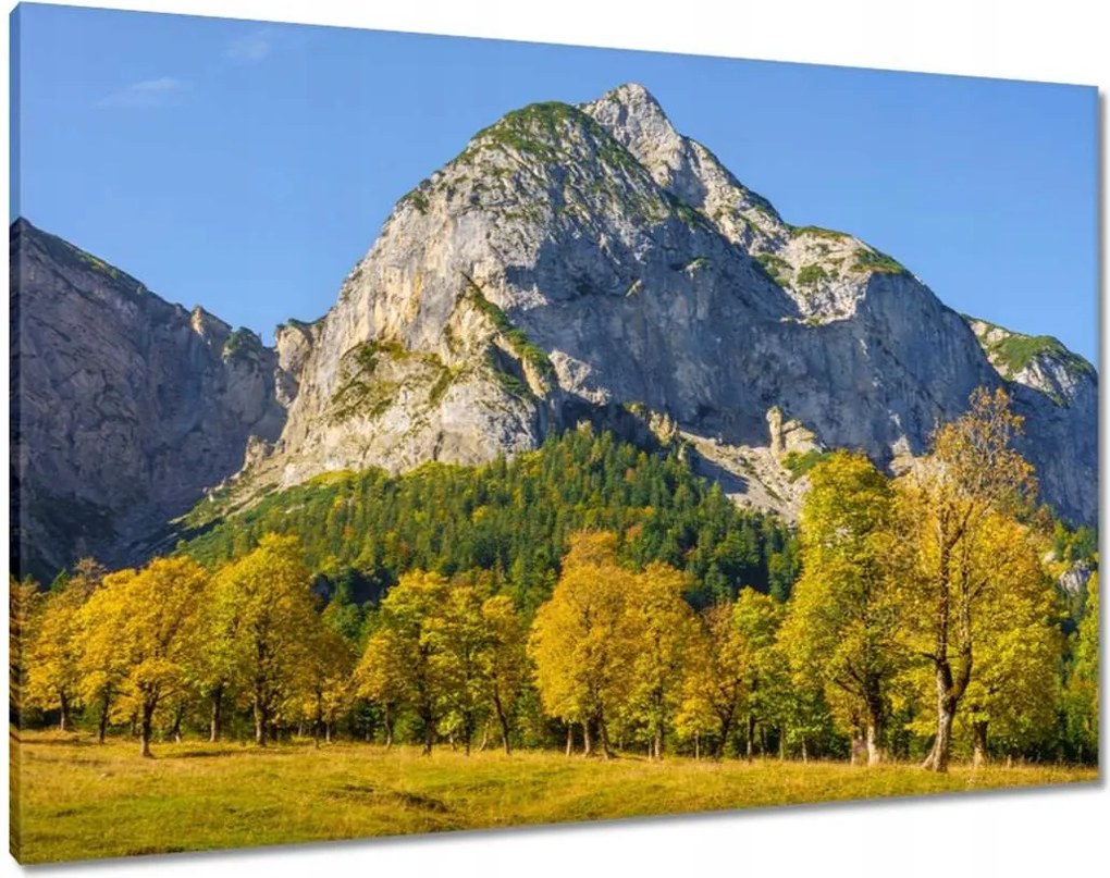 Vászonkép 100x70 Hegyi táj tiszta égbolttal Fák a hegyekben