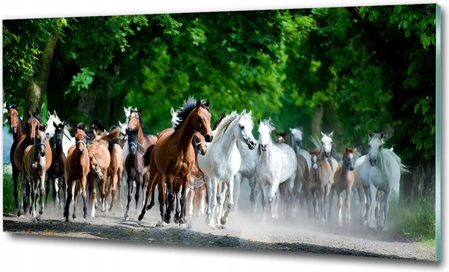 Fotótapéta üvegfalra Lovak a galoppban 100x70