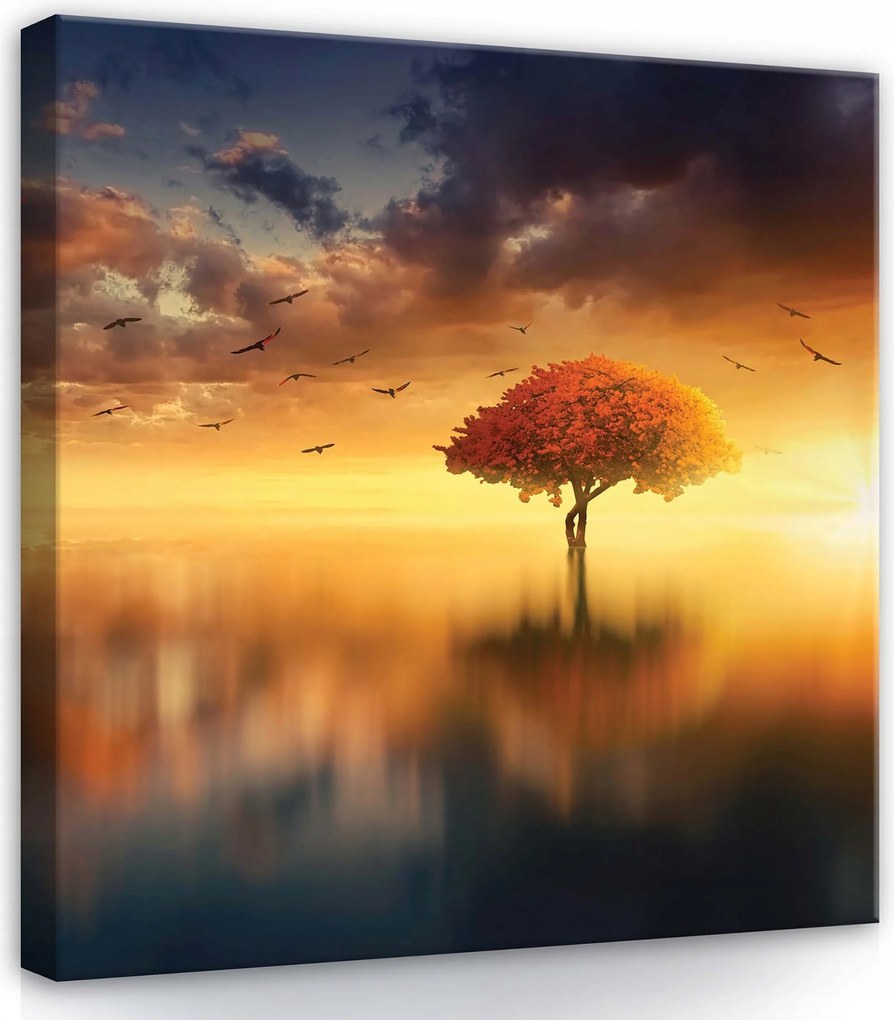 Vászonkép 40x40 Napfelkelte naplemente fa tó víz ég nyugalom