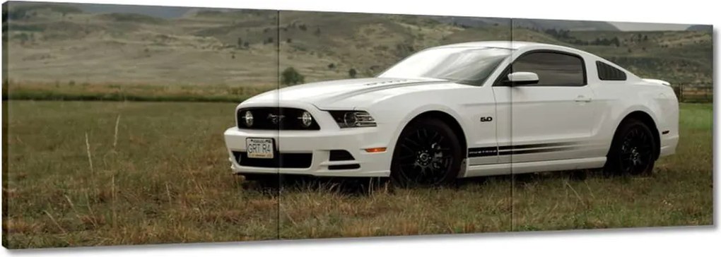 Képek 120x40 Fehér Ford Mustang