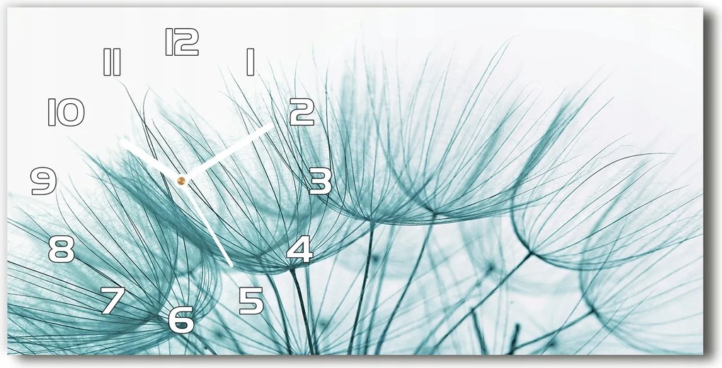 Üveg falióra Pitypang mag 60x30 cm