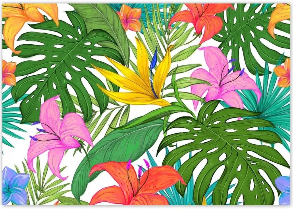 Poszterek 100x70 Levelek Monstery Levelek