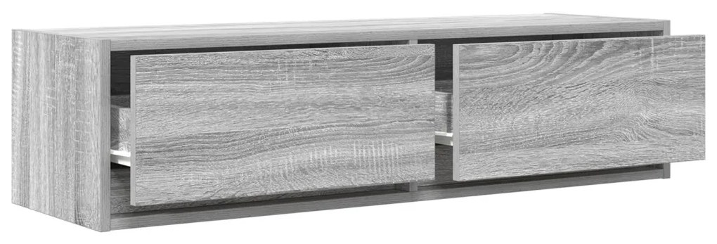 TV Szekrény Szürke Sonoma 100x31x25,5 cm Szerelt Fa