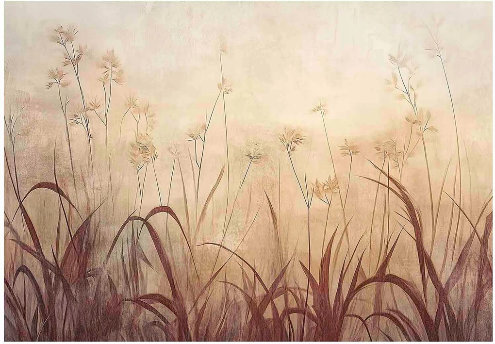 Fotótapéta Fű Boho Természet Szépia Falra Hálószoba Nappali 400x280