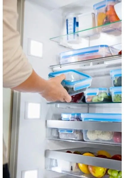 Tefal - Élelmiszertartó készlet 5 db MASTER SEAL FRESH kék