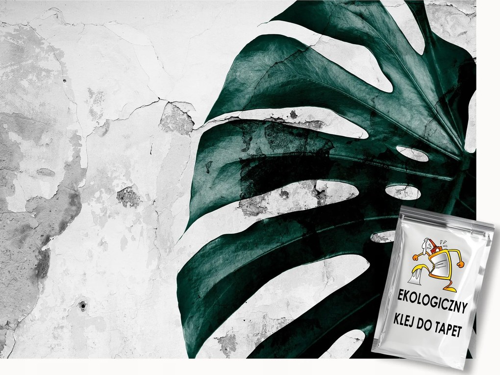 Fotótapéta Flizelina Natura Monster levelek betonon 300x210 ragasztó