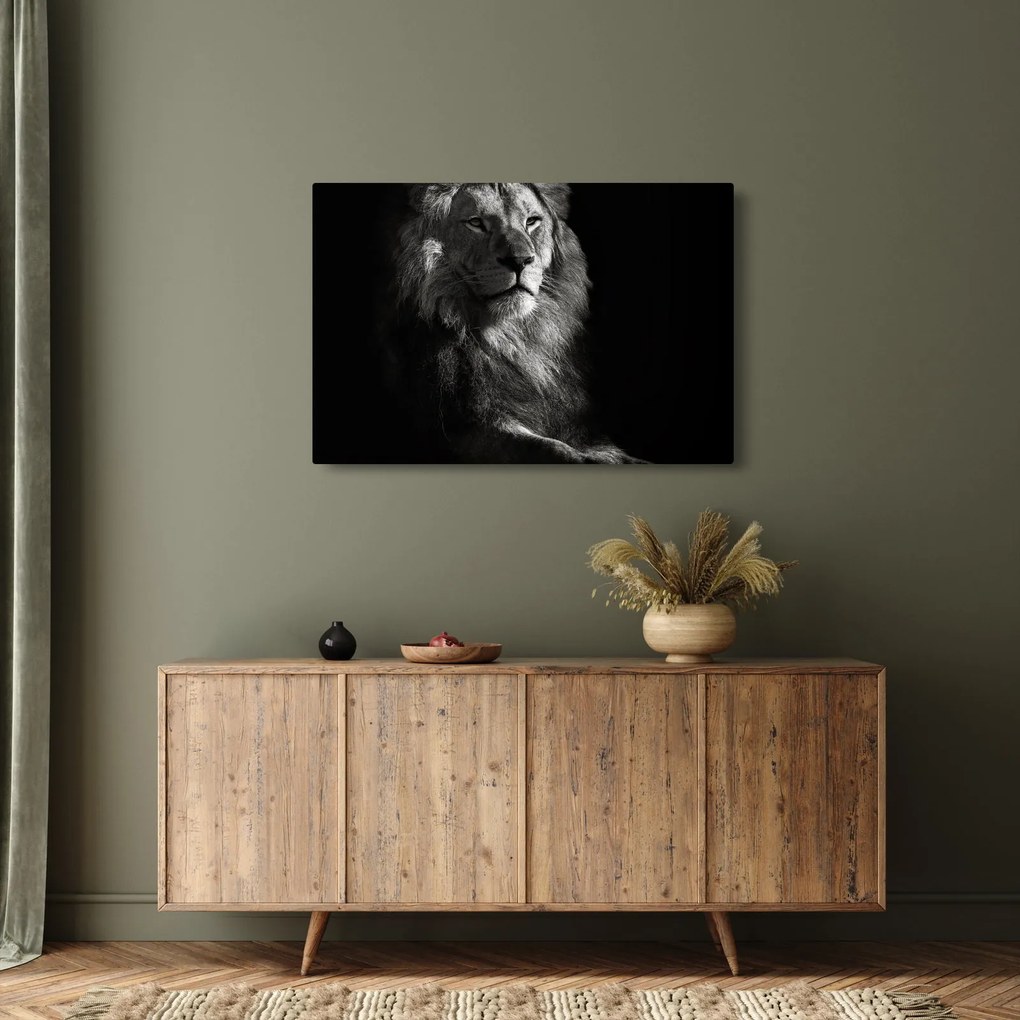 Kép - Oroszlán (90x60 cm)