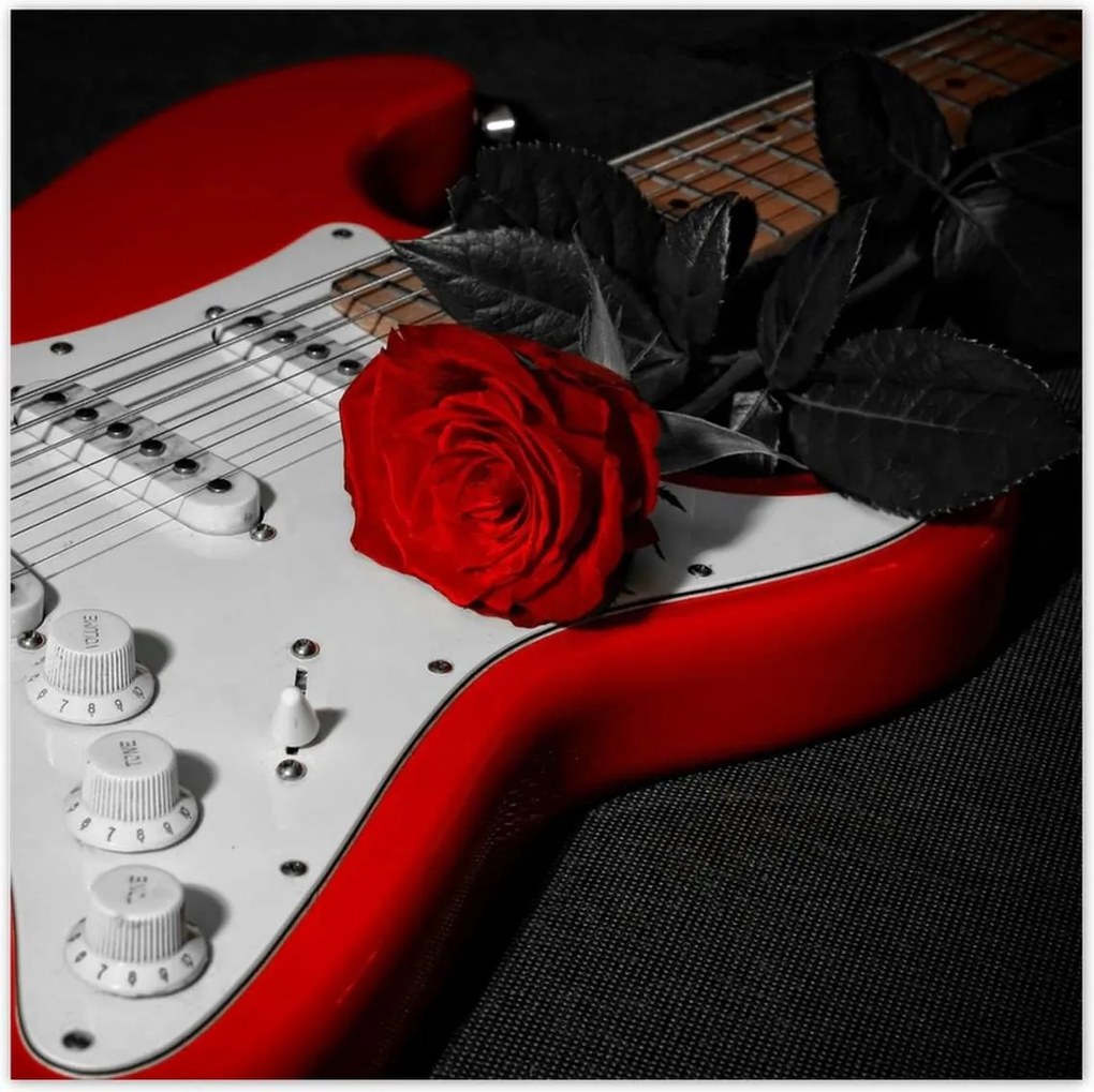 Poszterek 70x70 Rózsa Elektromos gitár