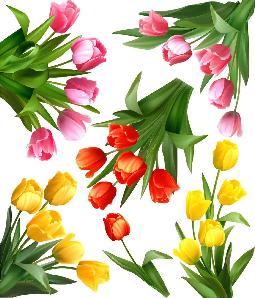 PIPPER. Falmatrica "Tulipánok"