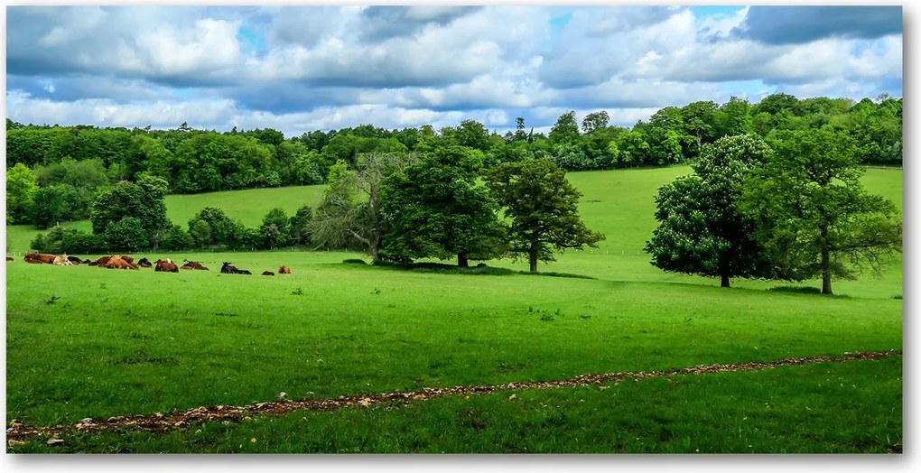 Fotótapéta üvegfalra Zöld dombok 140x70