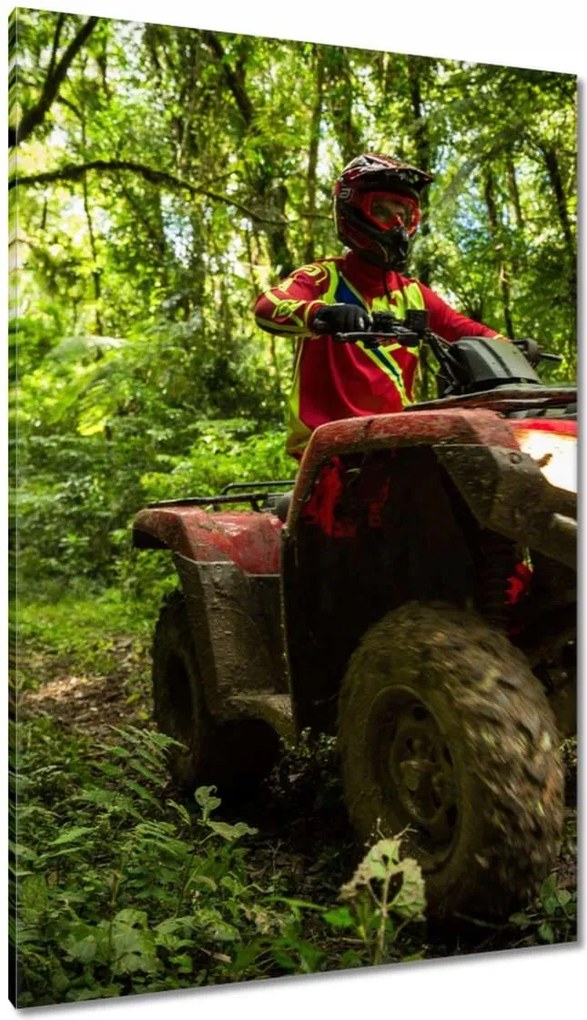 Vászonkép 80x120 Quad Négy kerék Terep