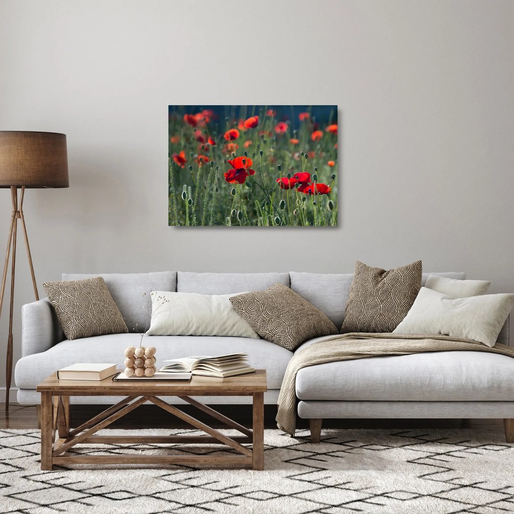 Kép - Rét mák virággal (üvegen) (70x50 cm)