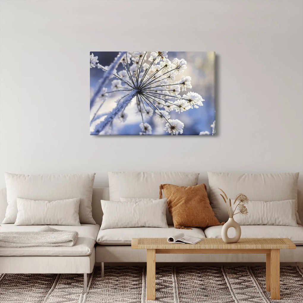 Kép - Fagyott virág (90x60 cm)