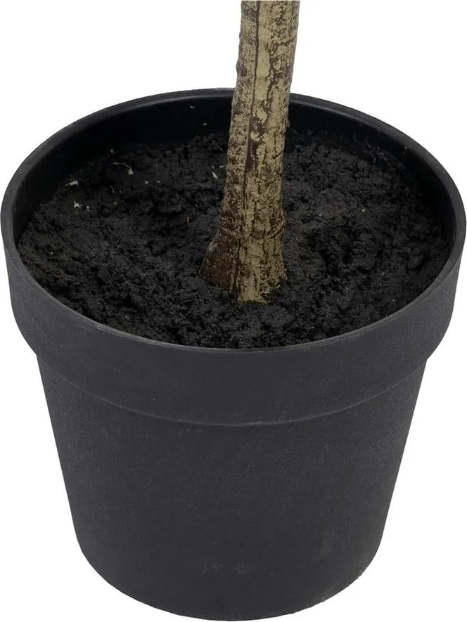 Eukaliptusz műnövény (magasság 180 cm) Eucalyptus – Ixia