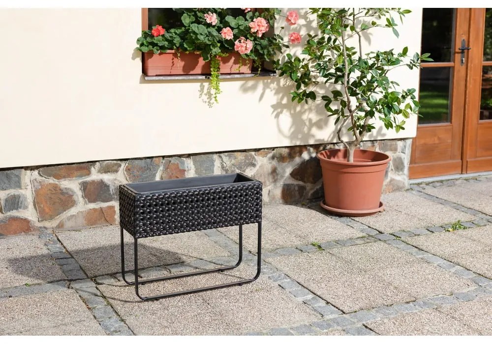 Magnolia fekete kerti virágcserép - Bonami Essentials