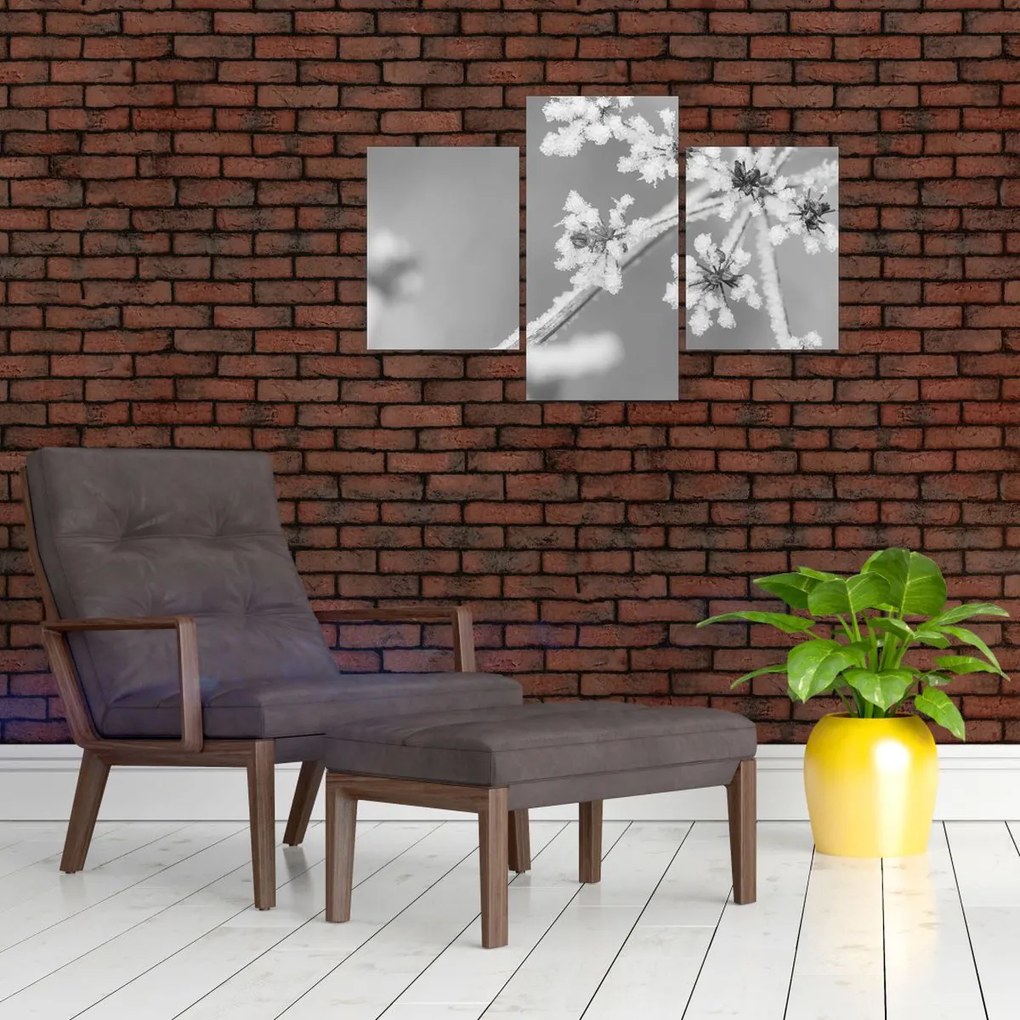 Kép - Fagyasztott növény (90x60 cm)