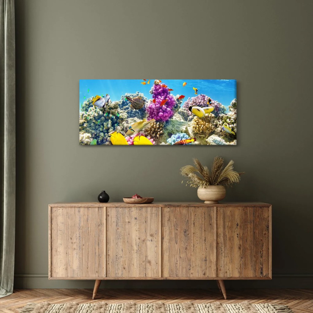 Kép - A tenger világa (120x50 cm)