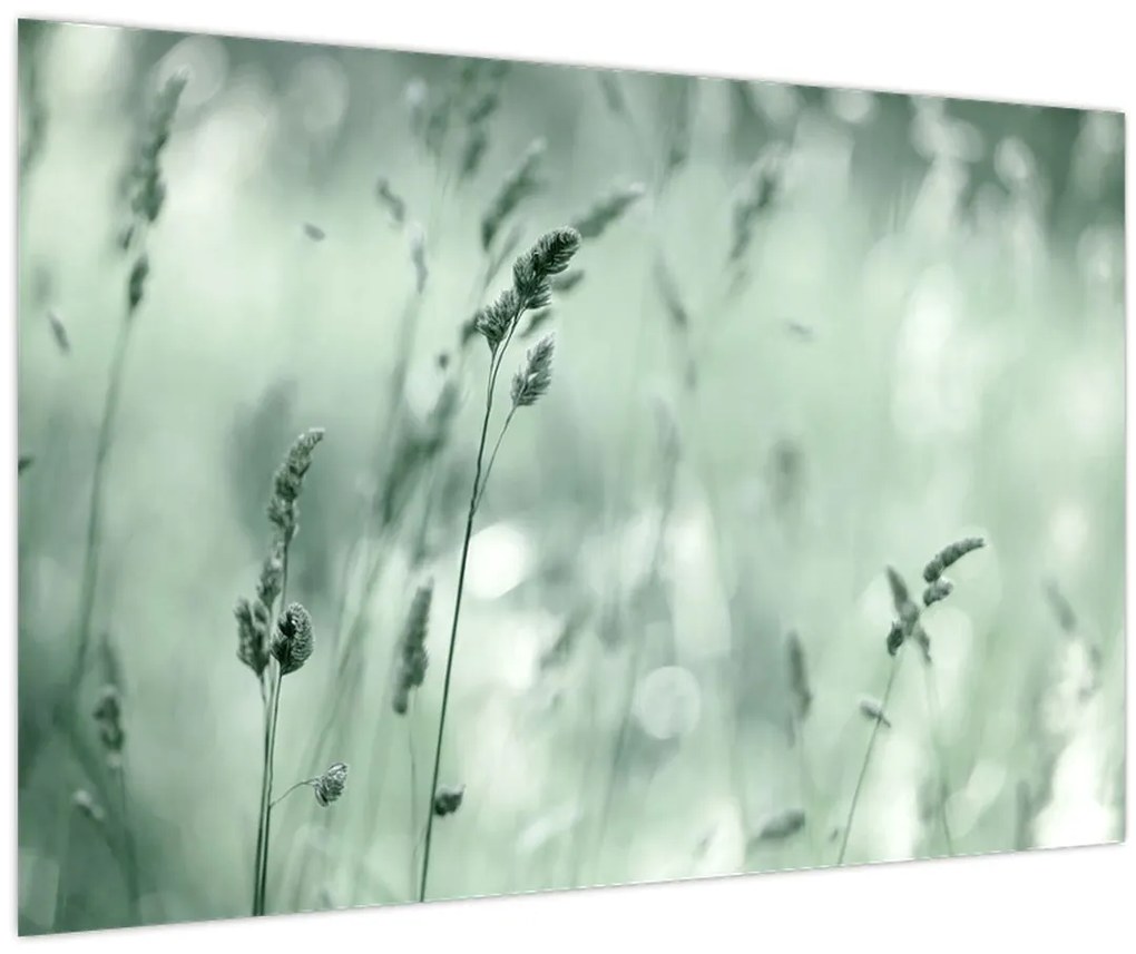 Kép - Zöld rét (90x60 cm)