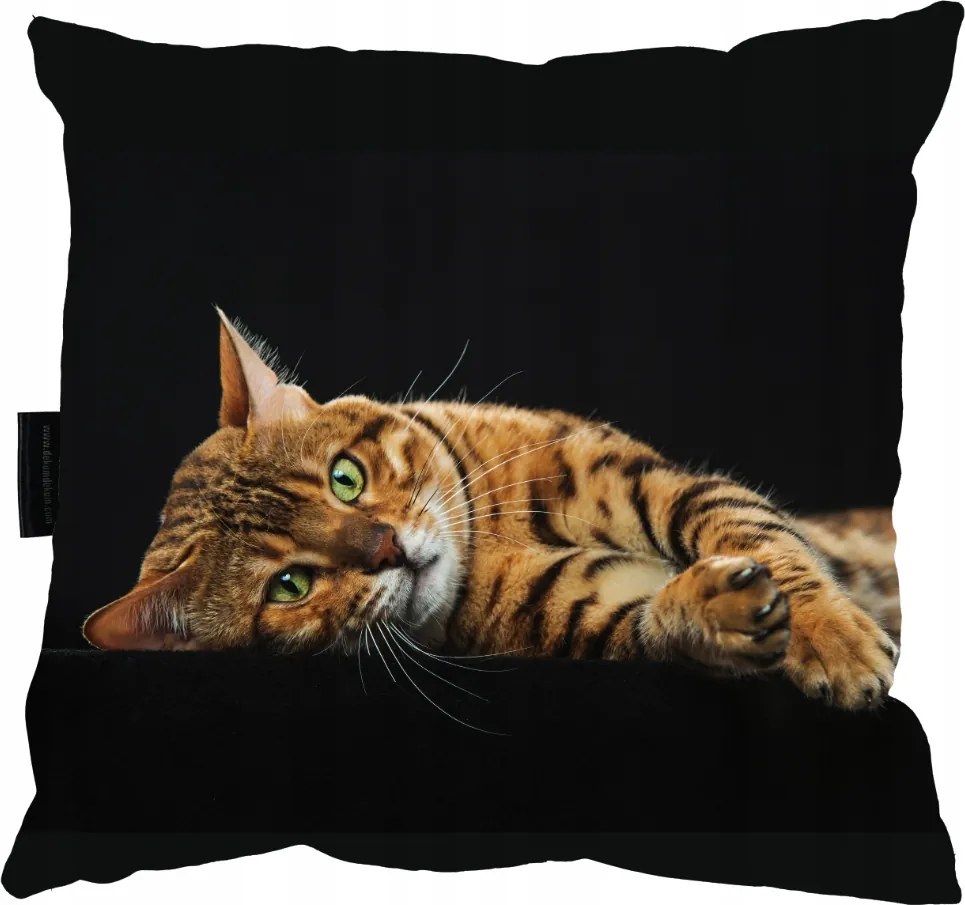 Bengáli Macska Párna 40x40 Ajándék