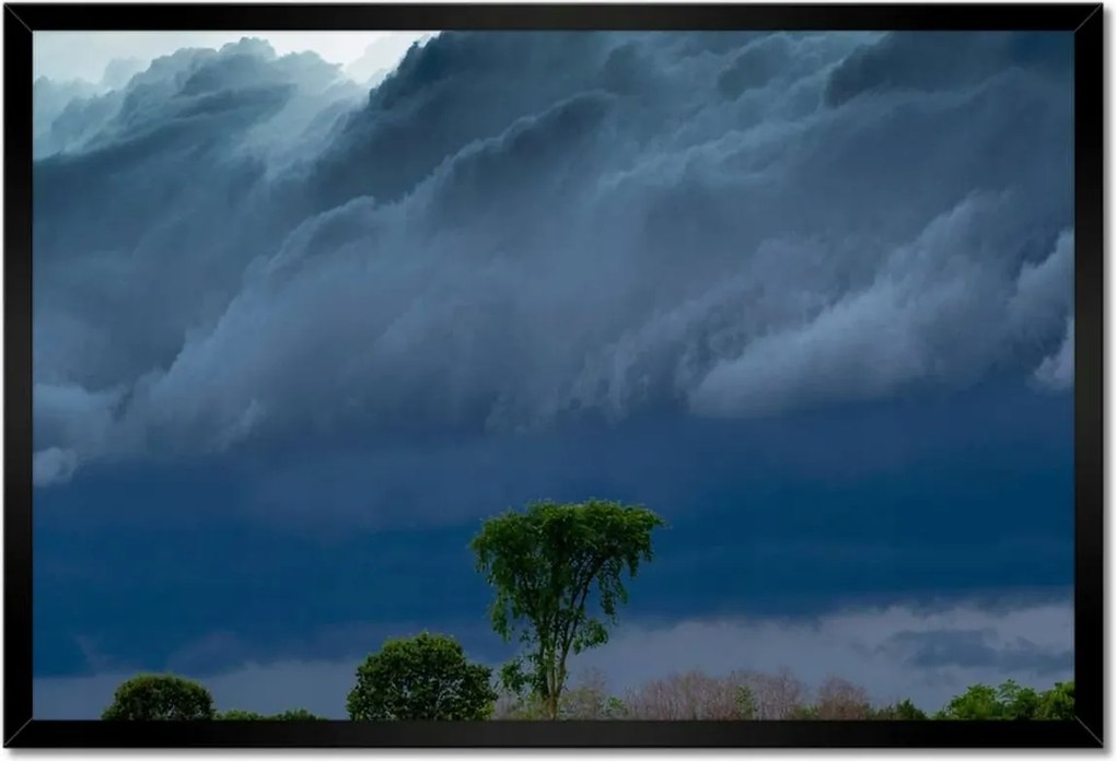 Poszterek keretben 60x40 Kukoricamező Fák