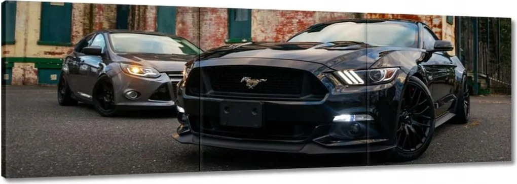 Vászonkép 90x30 Fekete amerikai szörny