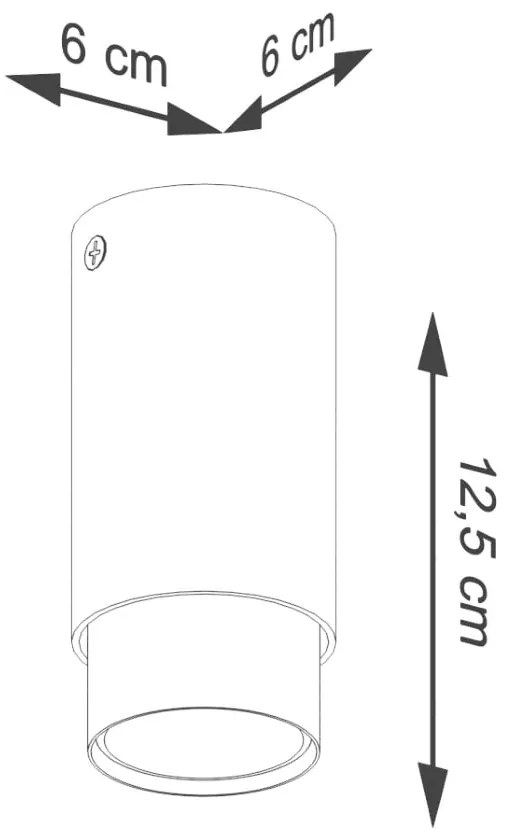 Fekete-ezüstszínű mennyezeti lámpa Crown – Sollux
