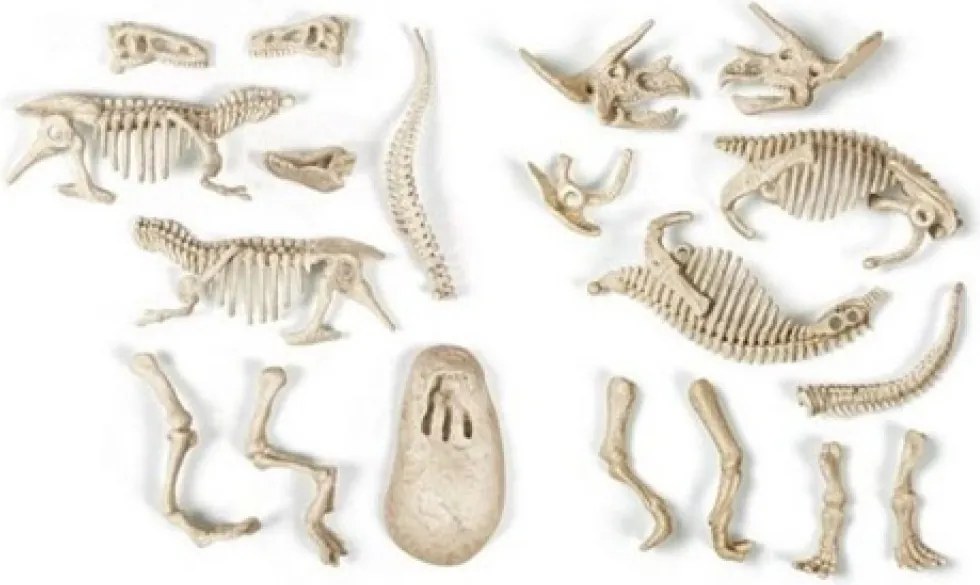 Világító dinoszaurusz Archeo Fun régészeti készlet Clementoni