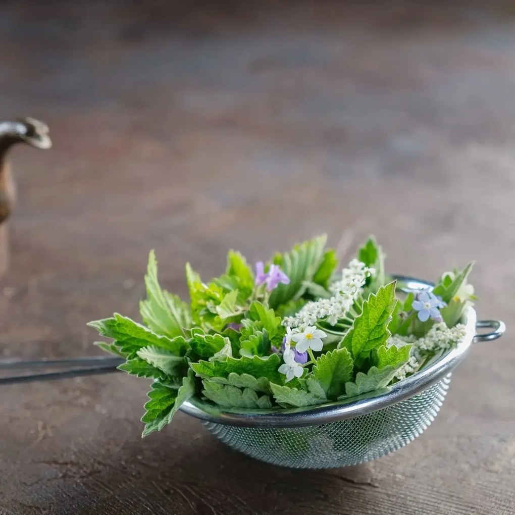 Orion rozsdamentes acél szűrő, 10 cm, 10 cm