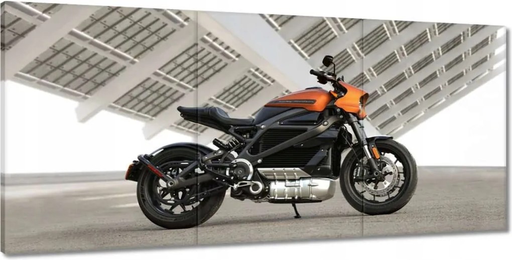 Képek 210x100 Harley Davidson Motorkerékpár