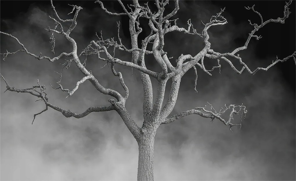 Flizelin tapéta falra Prémium ködös fa 416x254