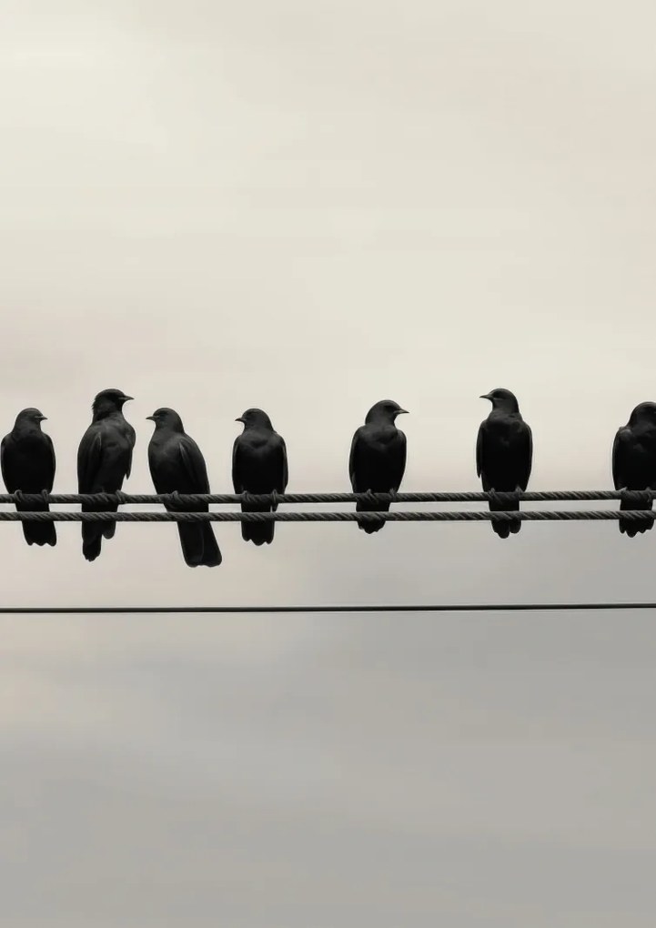 Poszter 29,7x42cm Konferencia a Magasságban