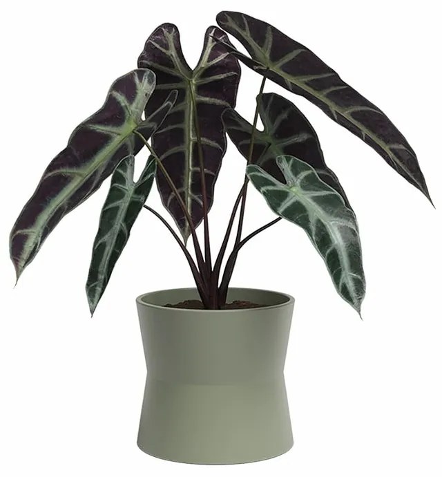 Kerámia virágcserép ø 14 cm Diana – Artevasi