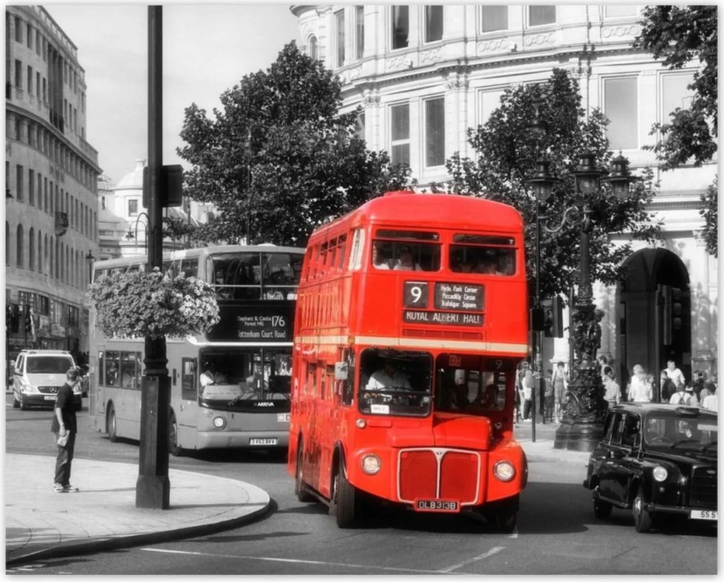 Poszterek 50x40 Piros busz