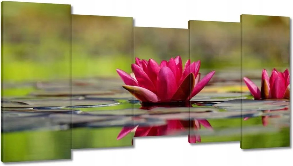Vászonkép 150x80 Vízi liliom
