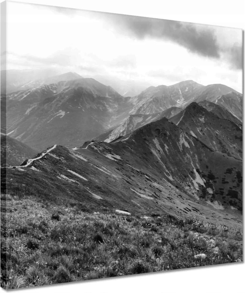 Vászonkép 40x40 Tátra Lengyel hegyek Kilátás