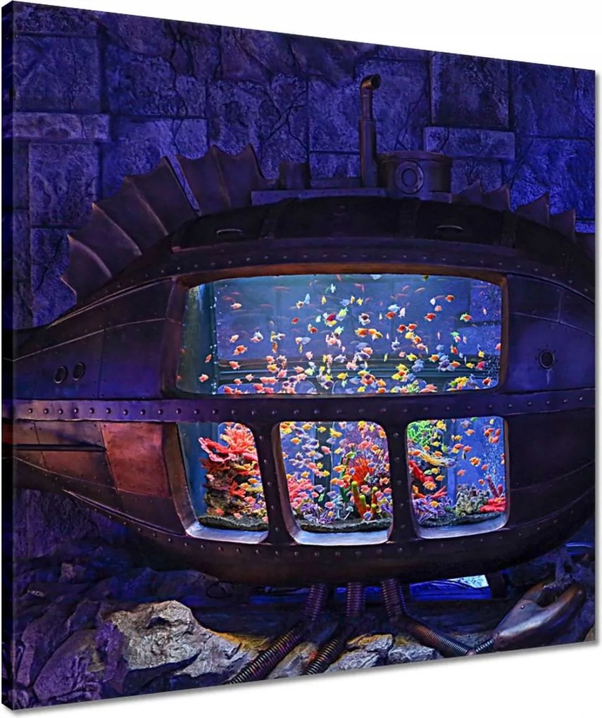 Vászonkép 50x50 A halak víz alatti világa