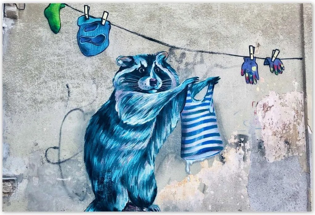 Poszterek 200x135 mosómedve graffiti csíkok