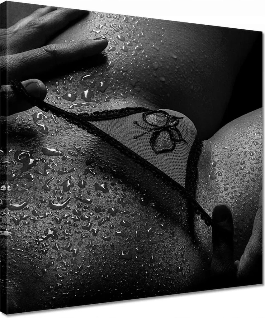 Vászonkép 40x40 Aktok Meztelenség Szerelem Fotó