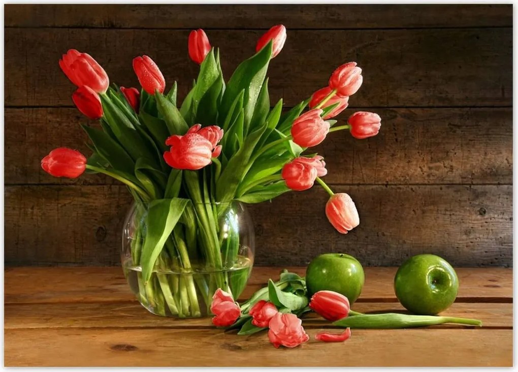 Poszterek 70x50 Vörös tulipánok