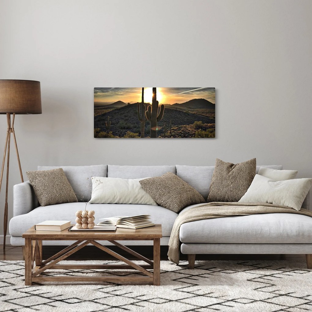 Kép - kaktuszok a napon (120x50 cm)