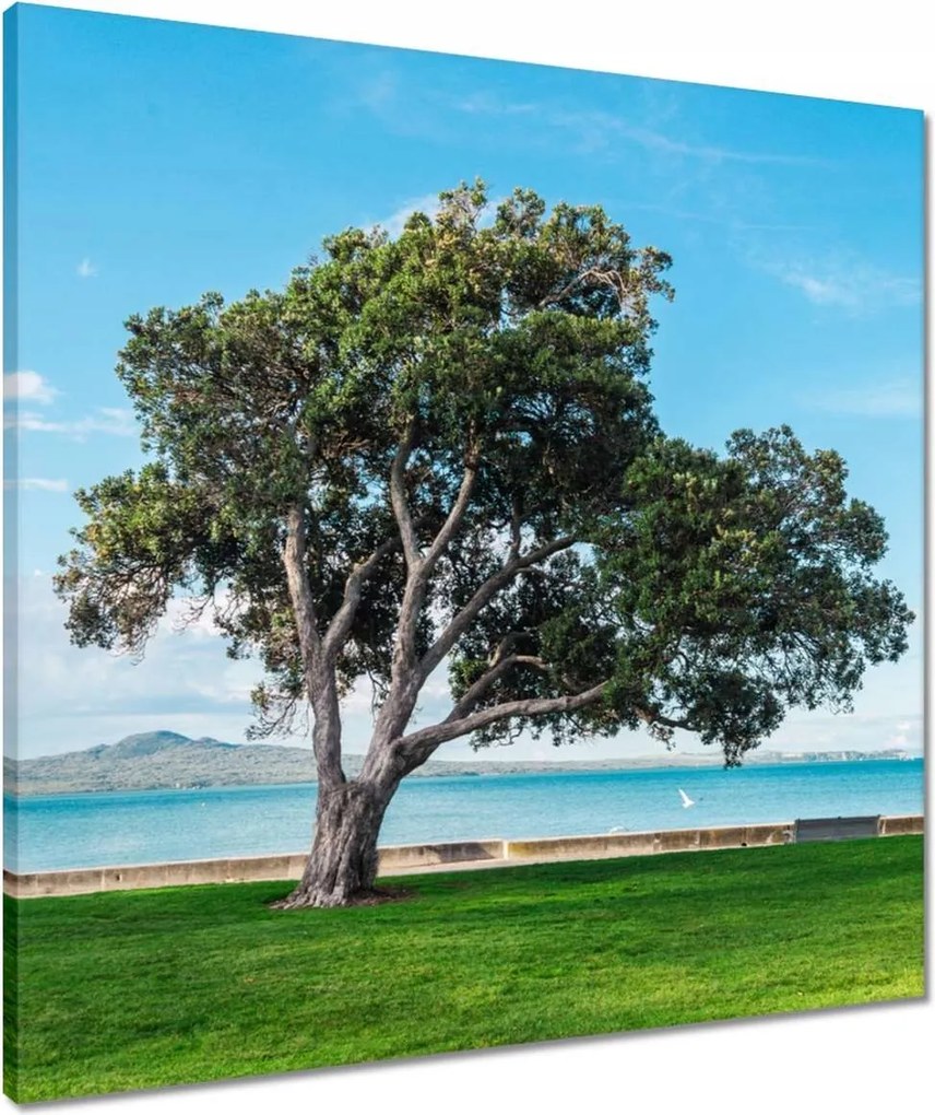 Vászonkép 60x60 Törhetetlen