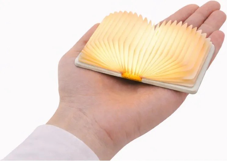 Fehér USB hordozható fénydekoráció BookLight – Gingko
