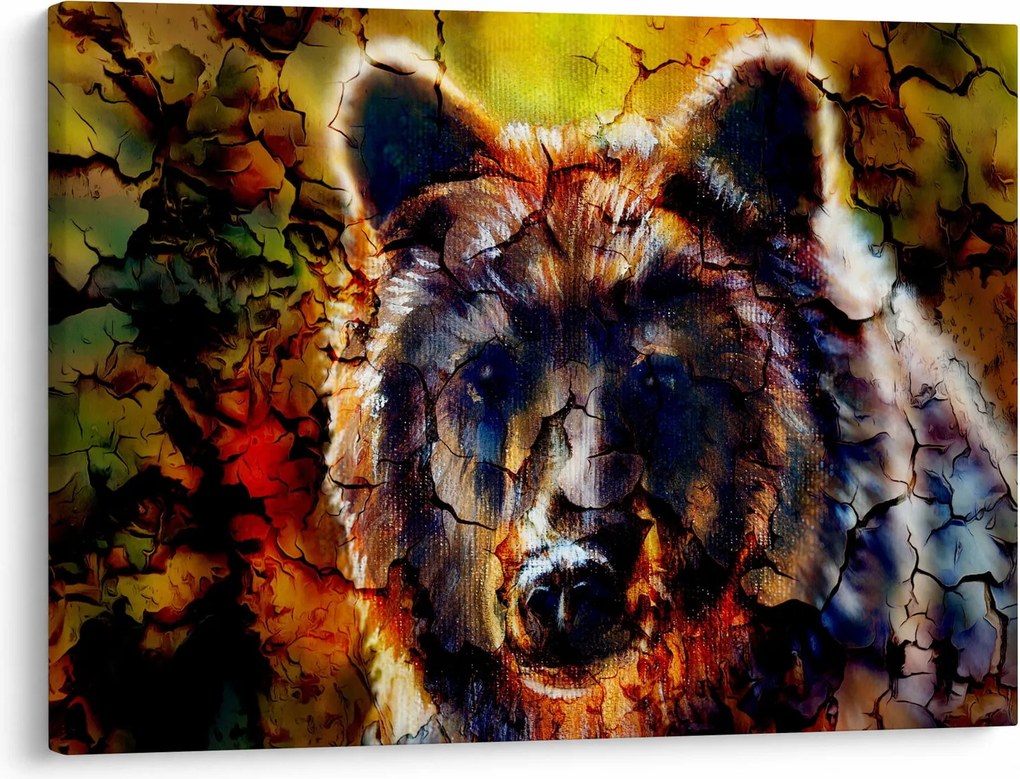 Kép - Medve, festmény (70x50 cm)