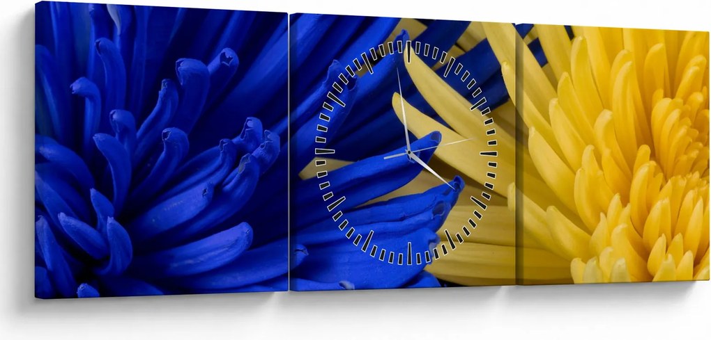 Kép - virág részlet (órával) (90x30 cm)
