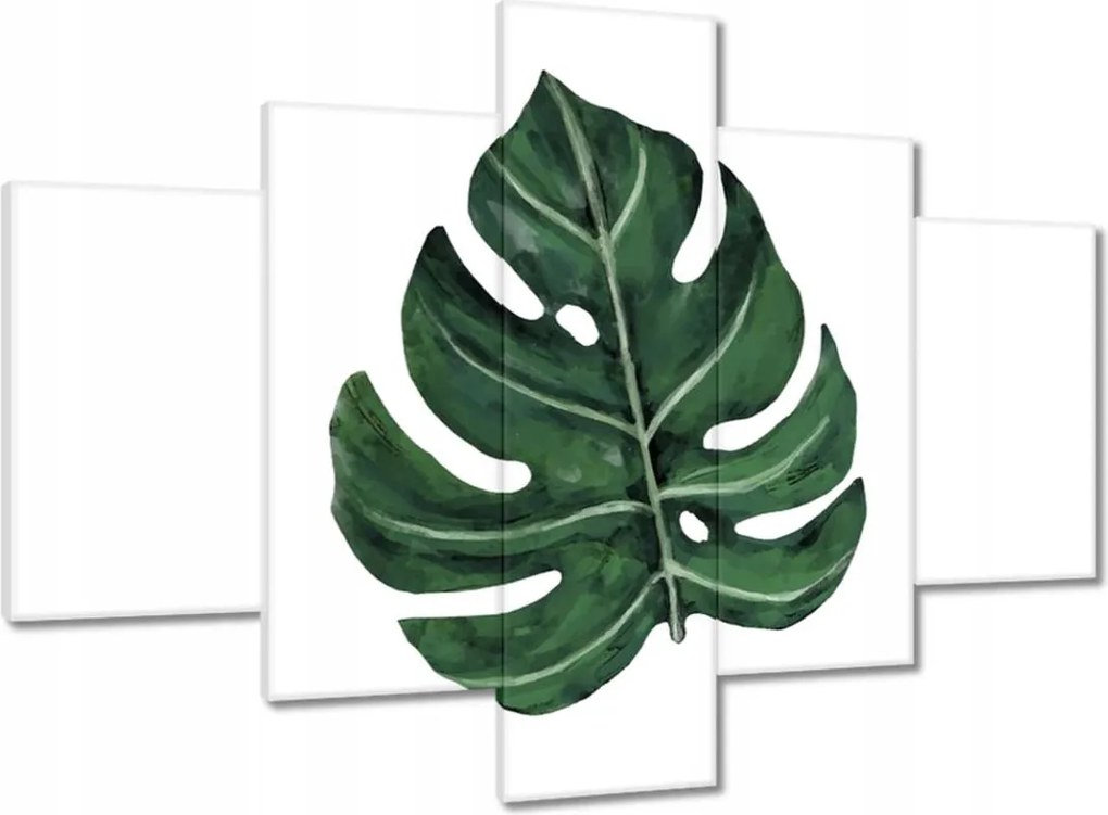 Vászonkép 100x70 Monstera Zöld levél