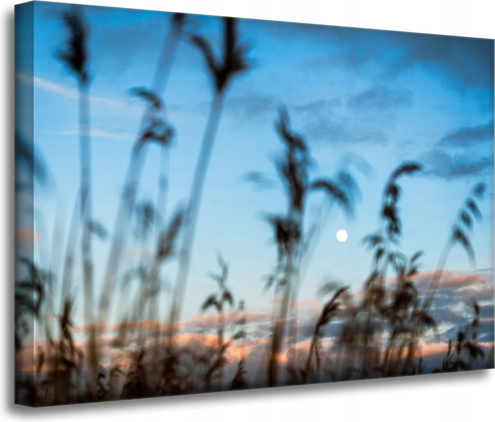 Vászonkép Természet Mező Rét Napfelkelte 70x50