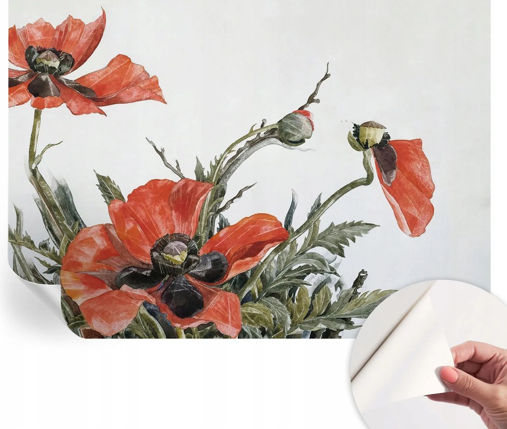 Öntapadós Dekoratív Fotótapéta Hálószobába Piros pipacs 312x219 cm