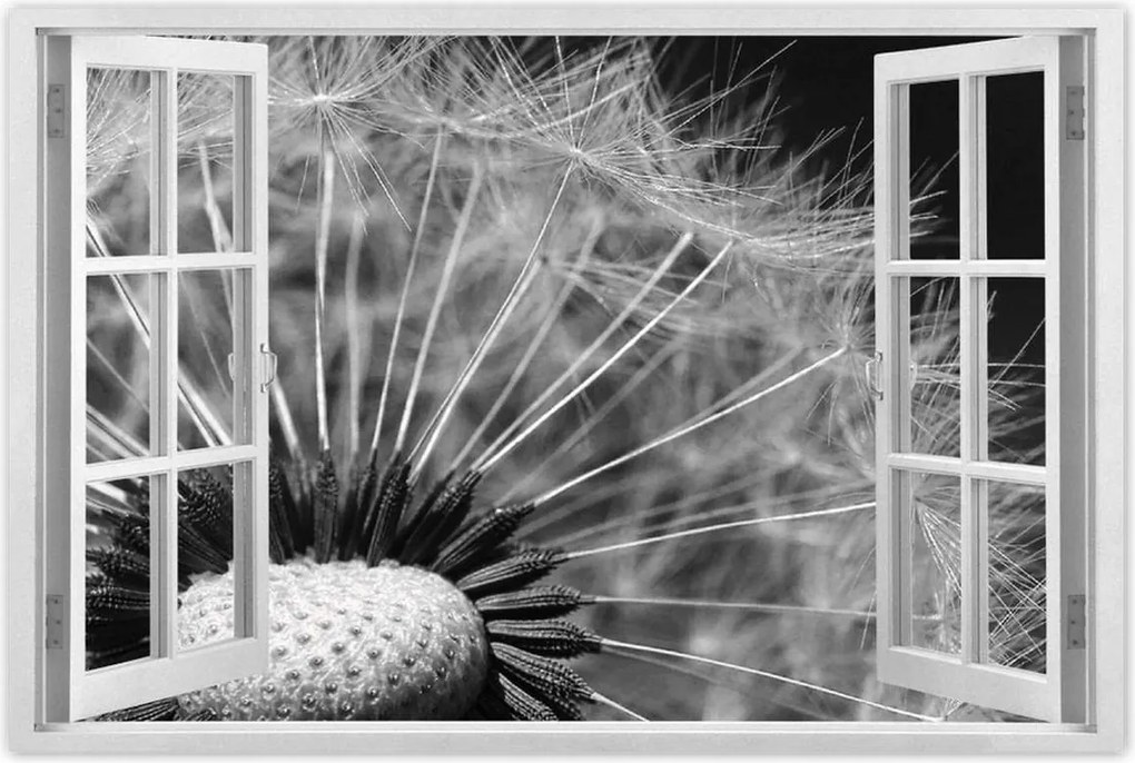 Poszterek 90x60 Pitypang Virág Virágok