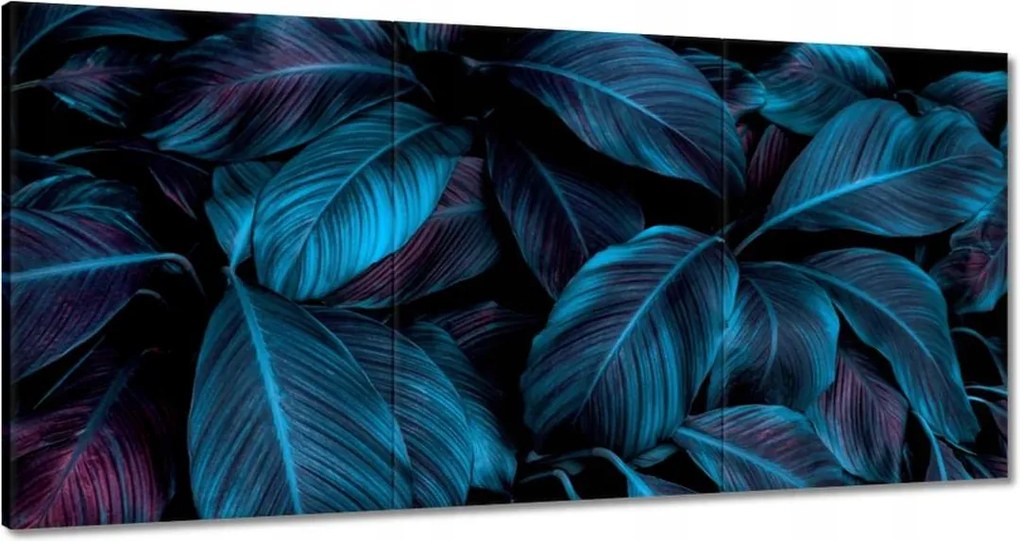 Vászonkép 60x30 Gyönyörű kék levelek