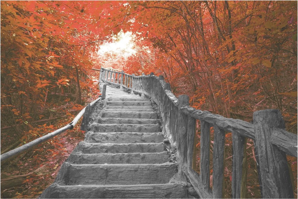 Kép - Lépcsők a természetben, narancssárga (90x60 cm)